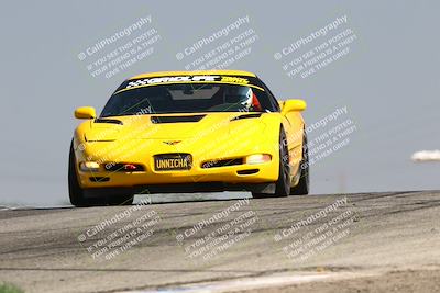 media/Jul-26-2025-Speed Ventures (Sat) [[fe569e6cf0]]/Green Group/Grapevine/